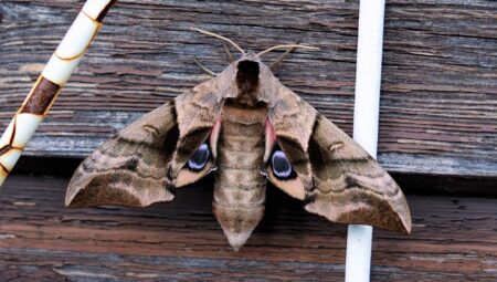 Boşanma Davalarında Ortak Eşyaların Bölüşümü İçin İstanbul Avukatları