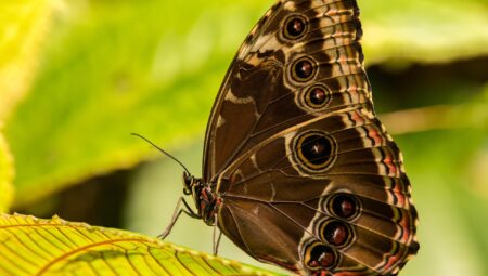Boşanma Davasında Ortak Malların Bölüşümü İçin İstanbul Avukat Tavsiyeleri