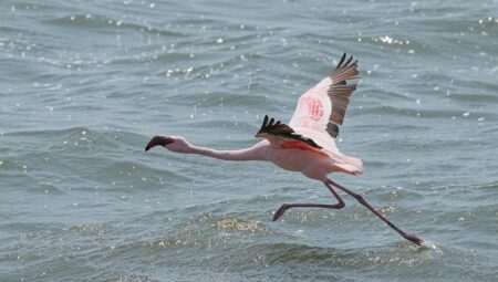 İstanbul Avrupa Yakası’nda Anlaşmalı Boşanma İçin En Çok Tavsiye Edilen Avukatlar