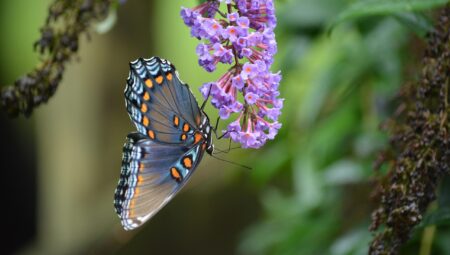 Zeytinburnu’nda Boşanma Sürecini Yönetecek En İyi Avukatlar
